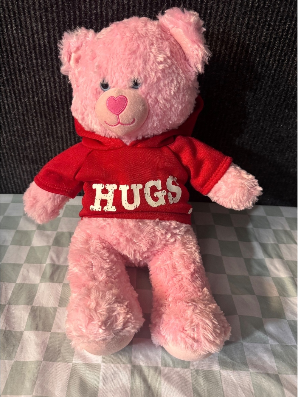 Build-A-Bear Pink Plush Teddy Bear with Red 'HUGS' Hoodie